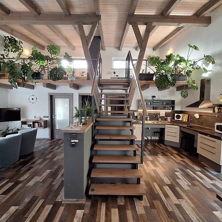Apartmany Pod Lesem II Rodvinov Bagian luar foto